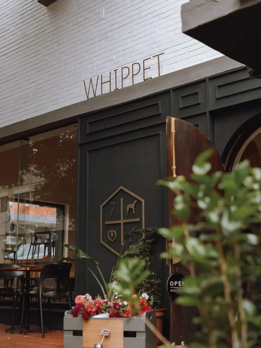 The Whippet in Linden