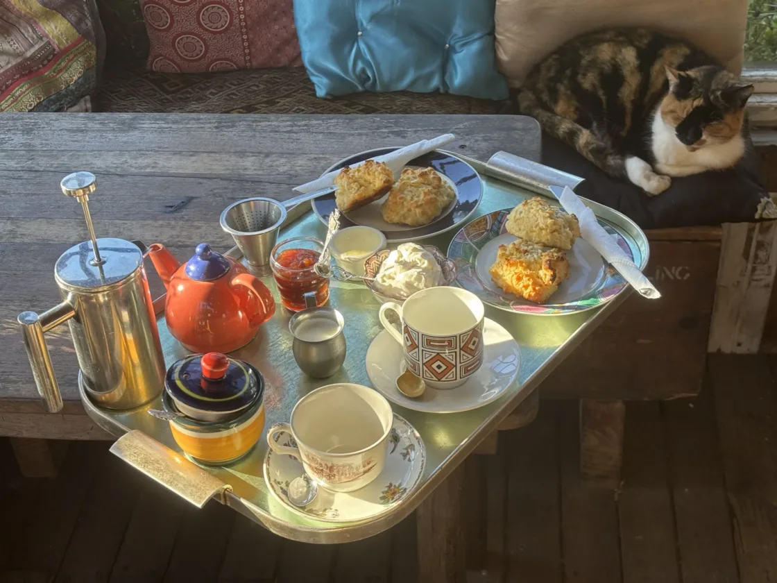The Scone Shack